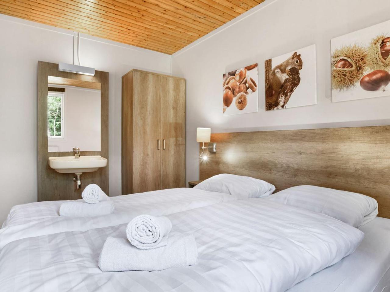 Luxury 4-Person Bungalow In The Holiday Park Landal Twenhaarsveld Holten Cameră foto